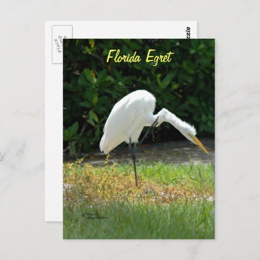 Postkarte (Vorne/Hinten)