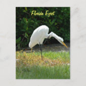 Postkarte (Vorderseite)