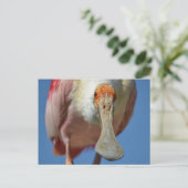 Postkarte (Stehend Vorderseite)