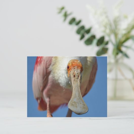 Postkarte (Stehend Vorderseite)