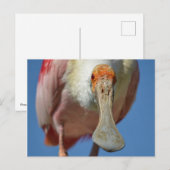 Postkarte (Vorne/Hinten)