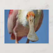 Postkarte (Vorderseite)