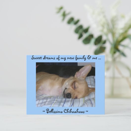 Postkarte (Stehend Vorderseite)