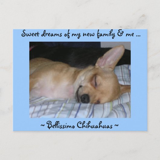 Postkarte (Vorderseite)