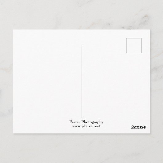 Postkarte (Rückseite)