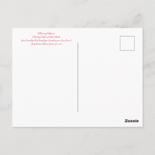 Postkarte (Rückseite)