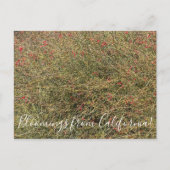 Postkarte (Vorderseite)