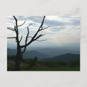 Postkarte