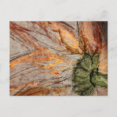 Postkarte (Vorderseite)