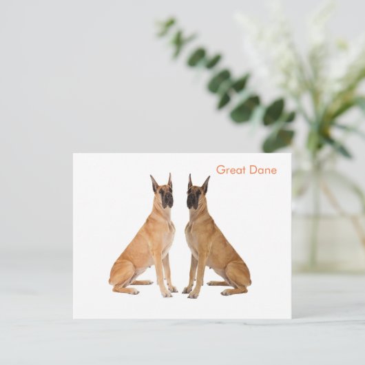 Postkarte (Stehend Vorderseite)