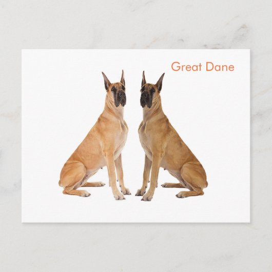 Postkarte (Vorderseite)