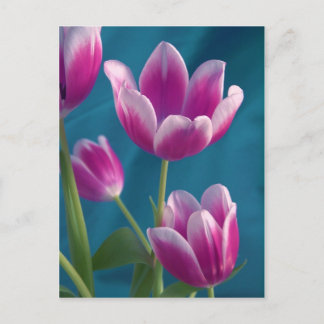 Postkarte