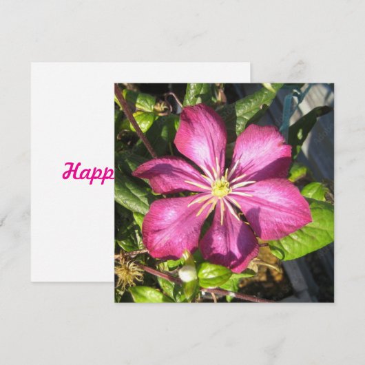 Postkarte (Vorne/Hinten)