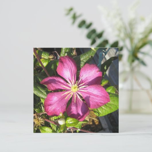 Postkarte (Stehend Vorderseite)