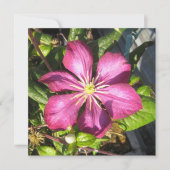 Postkarte (Vorderseite)