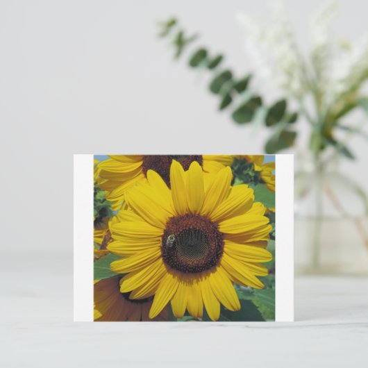 Postkarte (Stehend Vorderseite)