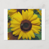 Postkarte (Vorderseite)