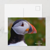 Postkarte (Vorne/Hinten)