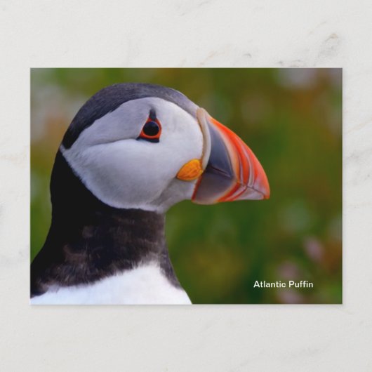 Postkarte (Vorderseite)