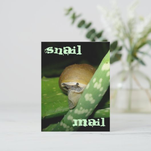 Postkarte (Stehend Vorderseite)