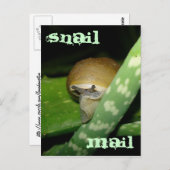 Postkarte (Vorne/Hinten)