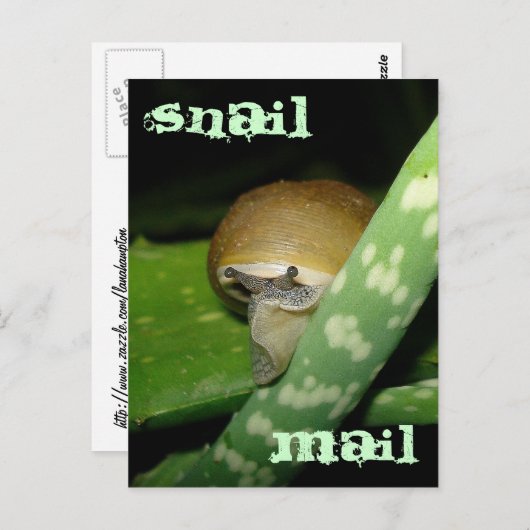 Postkarte (Vorne/Hinten)