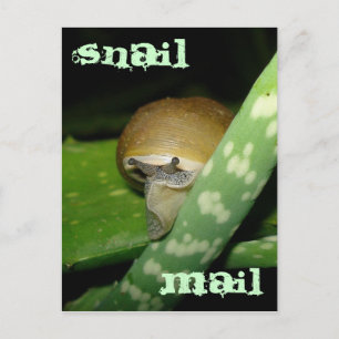 Postkarte