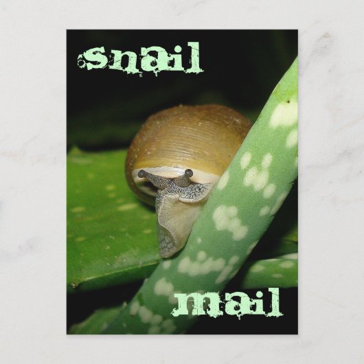 Postkarte (Vorderseite)