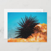  POSTKARTE (Vorne/Hinten)