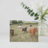 Postkarte (Stehend Vorderseite)