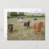 Postkarte (Vorne/Hinten)