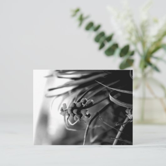 Postkarte (Stehend Vorderseite)