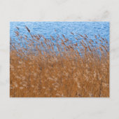 Postkarte (Vorderseite)