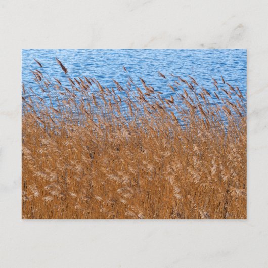 Postkarte (Vorderseite)