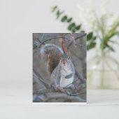 Postkarte (Stehend Vorderseite)