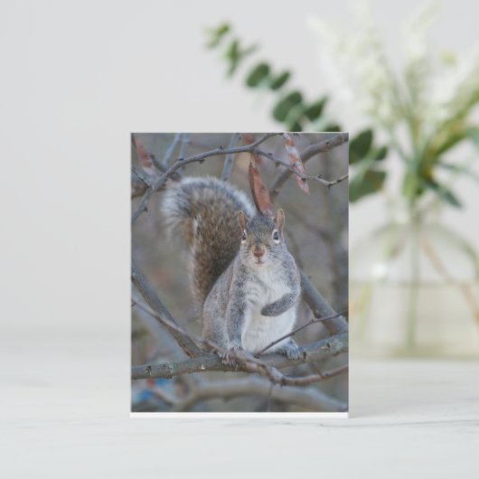 Postkarte (Stehend Vorderseite)