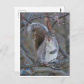 Postkarte (Vorne/Hinten)