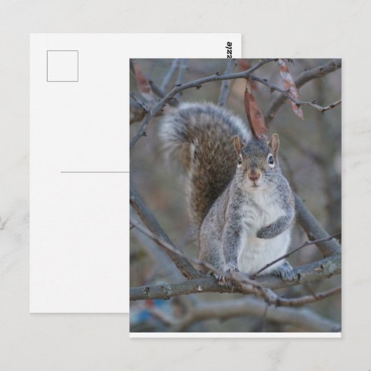 Postkarte (Vorne/Hinten)