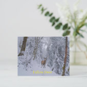 Postkarte (Stehend Vorderseite)