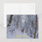 Postkarte (Vorne/Hinten)