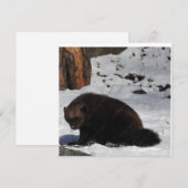 Postkarte (Vorne/Hinten)