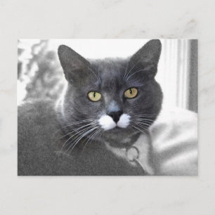 Postkarte
