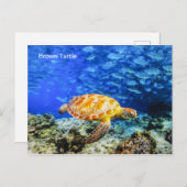 Postkarte (Vorne/Hinten)