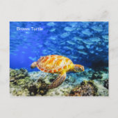 Postkarte (Vorderseite)