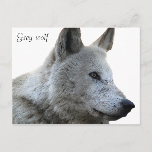 Postkarte (Vorderseite)