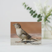 Postkarte (Stehend Vorderseite)