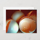 Postkarte (Vorne/Hinten)