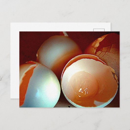 Postkarte (Vorne/Hinten)