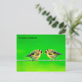 Postkarte (Stehend Vorderseite)