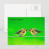 Postkarte (Vorne/Hinten)